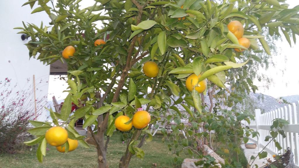 Masal Tatil Evi Selimiye  Esterno foto